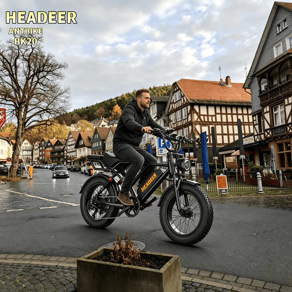 Fietspack™ Elektrische Fatbike 250W – 25 km/u – Afneembare Accu